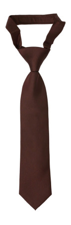 SOLID Brown boys tie small pre-tied
