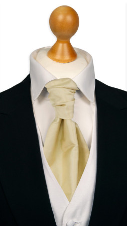 SOLID Champagne pre-tied cravat