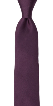 SOLID Eggplant boy's tie medium
