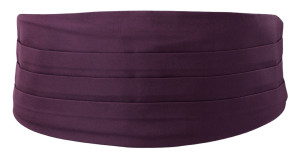 SOLID Eggplant cummerbund