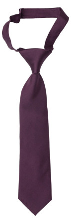 SOLID Eggplant boys tie small pre-tied