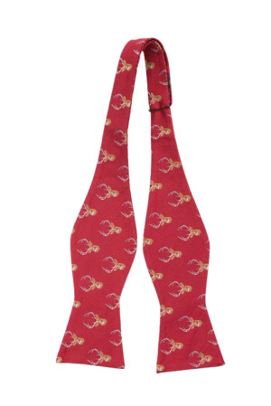 STAGGERING RED self-tie bow tie