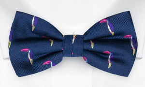 TOUCANNON BLUE bow tie