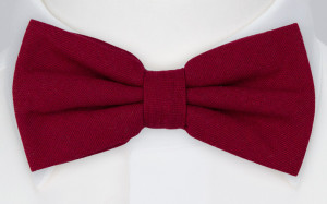 WISTFUL DARK RED bow tie