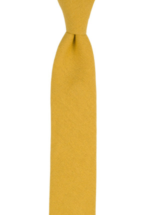 WISTFUL HONEY skinny tie