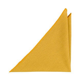 WISTFUL HONEY pocket square