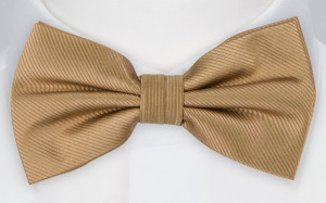 JAMES bow tie