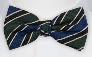 LINED UP GREEN BLUE bow tie