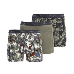 COTTON BOXER 3P GREEN underwear