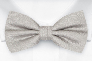 ORNATE SILVER pre-tied bow tie