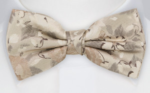 PROPOSAL TAN bow tie