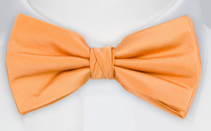 SATIN PEACH bow tie