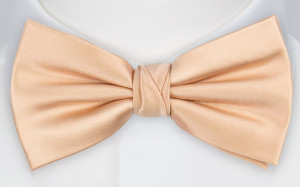 Satin POWDER PEACH bow tie