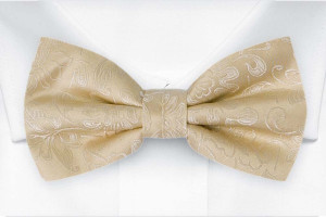 SAVETHEDATE CHAMPAGNE bow tie