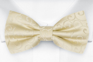 SNAZZY CHAMPAGNE bow tie