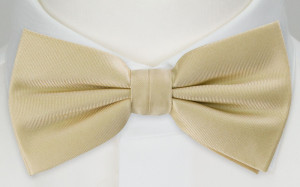 SOLID CHAMPAGNE bow tie