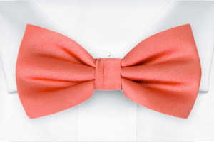SOLID DARK CORAL bow tie