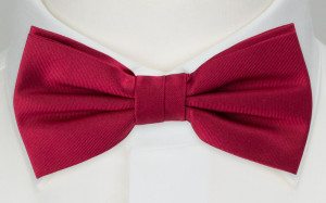 SOLID FUCHSIA bow tie