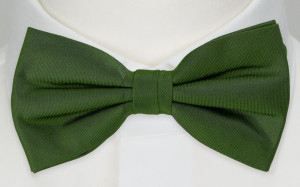 SOLID GREEN bow tie