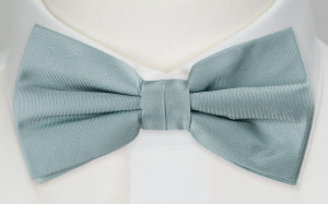 SOLID GREYED JADE bow tie