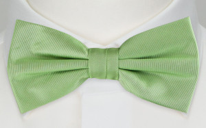 SOLID LIGHT GREEN bow tie