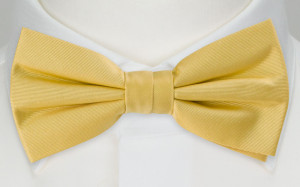 SOLID LIGHT YELLOW bow tie