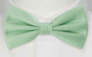 SOLID PASTEL GREEN bow tie