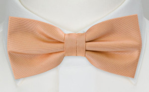 SOLID PEACH bow tie