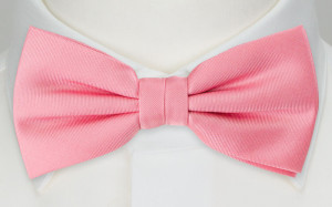 SOLID PINK bow tie
