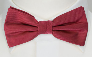 SOLID RASPBERRY bow tie