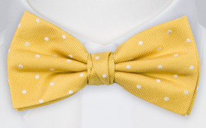 SPOTONDOT YELLOW bow tie