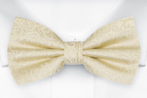 SWANKY CHAMPAGNE bow tie