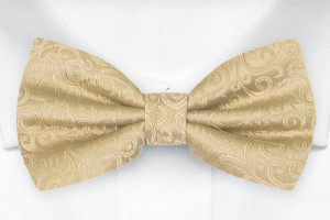 SWANKY GOLD bow tie