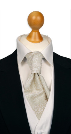 SWANKY IVORY pre-tied cravat