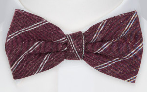 TAKENFORGRANTED WINE RED bow tie