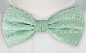 TARNA MINT pre-tied bow tie