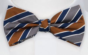THELOOKER NAVY CINNAMON bow tie