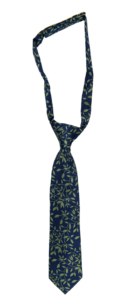 TJOHEJ GREEN boy's tie small pre-tied