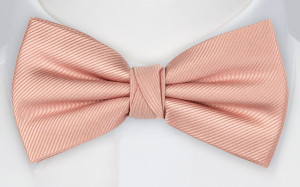 Twillie BLUSH PINK bow tie