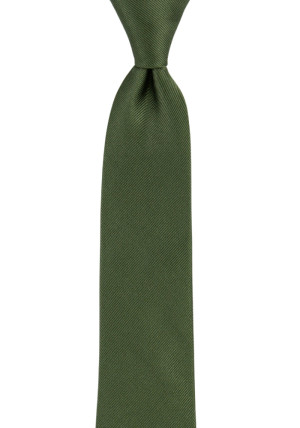 Twillie Seaweed Green boy's tie medium