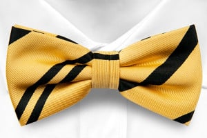 VERNON bow tie