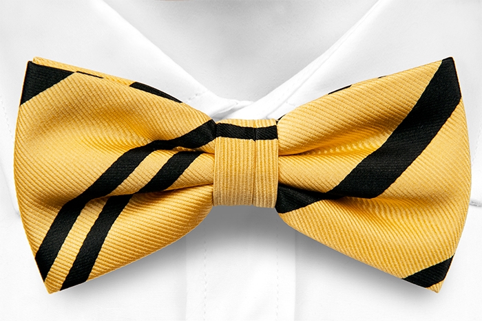 VERNON pre-tied bow tie