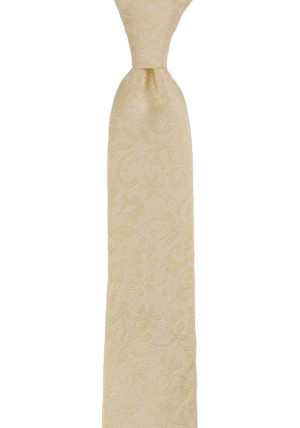 VIGSEL CHAMPAGNE skinny tie