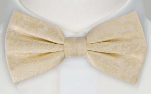 VIGSEL CHAMPAGNE pre-tied bow tie