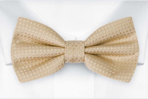 WEDLOCK CHAMPAGNE bow tie