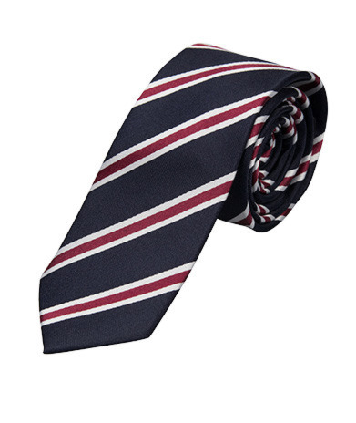 The Regimental Tie